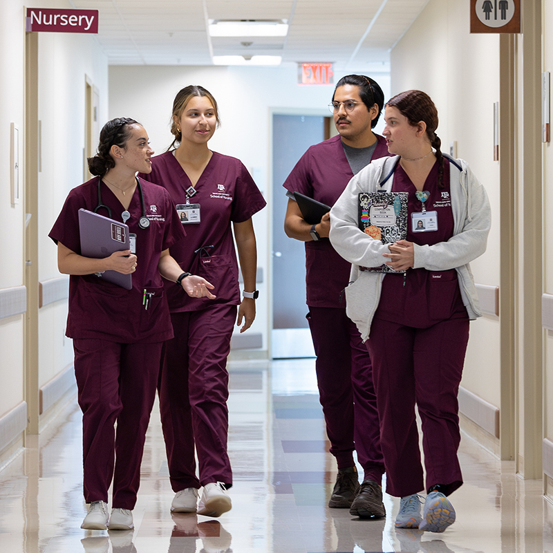 10 Best Texas Nursing Schools - Nursing School Hub